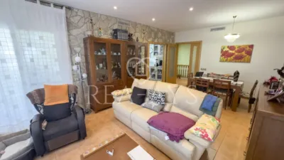 Chalet in El Pla de Palec photo 4