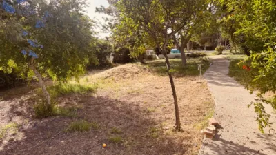 Rustic Finca in El Palillejo photo 26