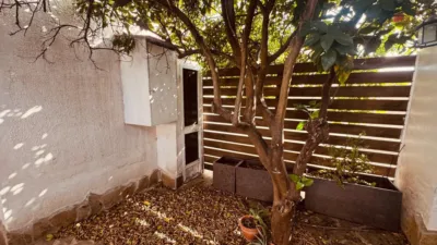Rustic Finca in El Palillejo photo 6