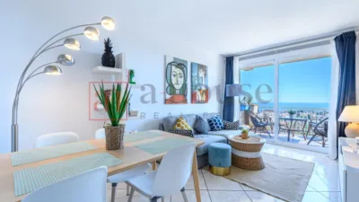 Penthouse in Vallpineda-Rocamar photo 6