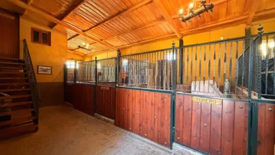 Rustic Finca on Calle Marquesita - Ds Beal photo 68