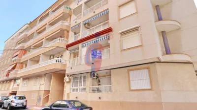 Pis – Guardamar del Segura, Urbanització Pinar de Guardamar - Vista 4