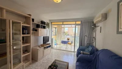 Studio in Rincón de Loix photo 6