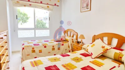 Pis – Guardamar del Segura, Urbanització Pinar de Guardamar - Vista 3