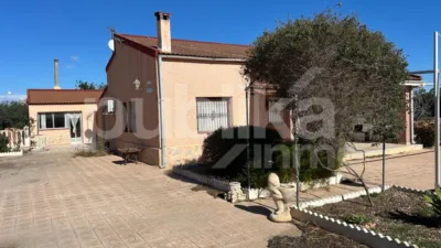 Casa – Elx - Elche - Más