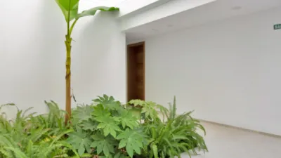 Apartment on Calle 12, Calle Londres photo 41