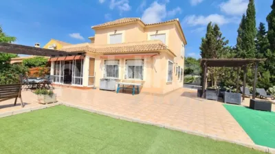 Casa – Elx - Elche - Vista 5