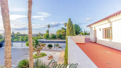 Chalet in Carril de los Sastres photo 49