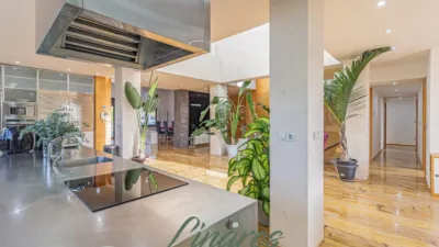 Chalet in Carril de los Sastres photo 16