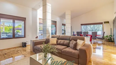 Chalet in Carril de los Sastres photo 27