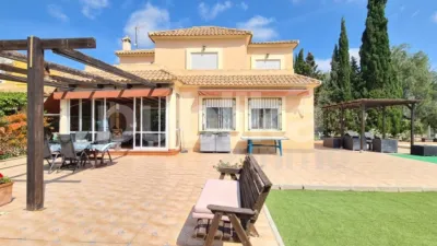 Casa – Elx - Elche - Vista 4
