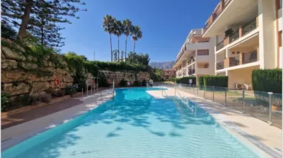 Apartamento en calle Avenida Suiza #Planta 2 photo 5