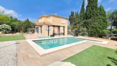 Casa – Elx - Elche - Más