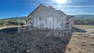House on Hondón de los Frailes Street, No. 165 photo 6