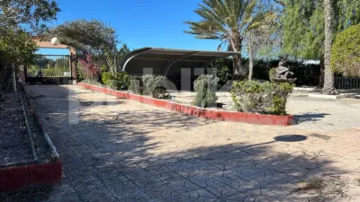 Casa – Elx - Elche - Vista 3