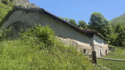 Finca rústica en venta en Calle Cuevas, El Pino (Moreda). Municipio de Aller de 19.500 €