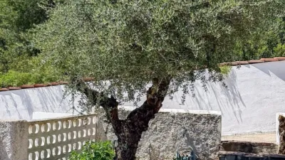 Chalet in the Valencian Community photo 38