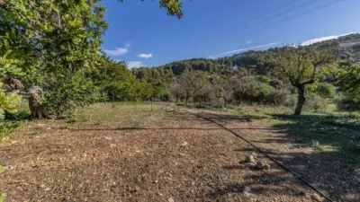 Rustic Finca in Alaró photo 9