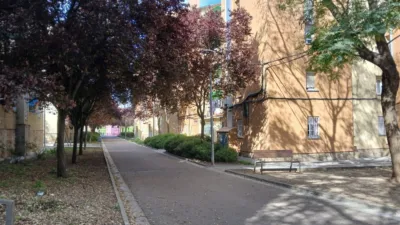 Flat at Carrer de Salamanca, 10 photo 39