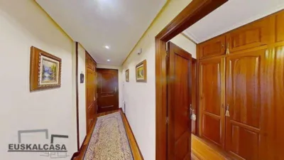 Apartment in Masustegui photo 6
