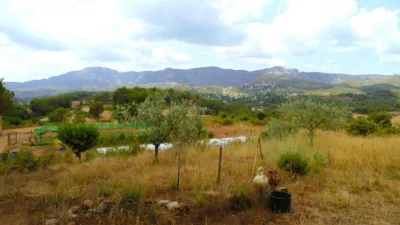  photo 30