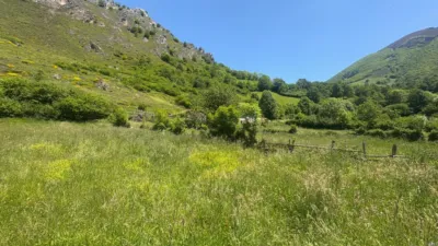 Finca rústica en venta en Calle Cuevas, El Pino (Moreda). Municipio de Aller de 19.500 €