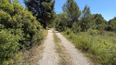 Chalet in the Valencian Community photo 53