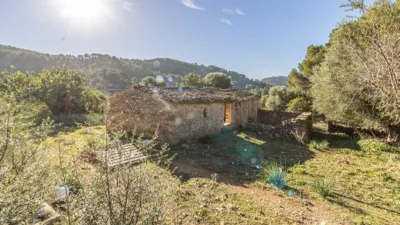 Rustic Finca in Alaró photo 2