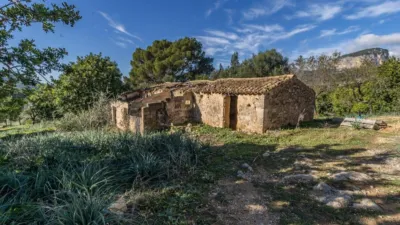Rustic Finca in Alaró photo 3