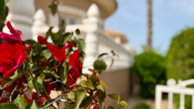 Casa – Torrevieja - Vista 2