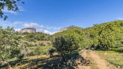 Rustic Finca in Alaró photo 18