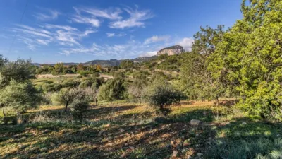 Rustic Finca in Alaró photo 19
