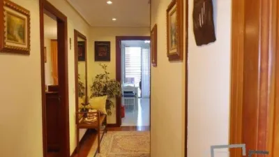 Apartment in Masustegui photo 27