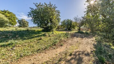 Rustic Finca in Alaró photo 17