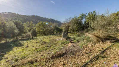 Rustic Finca in Alaró photo 8