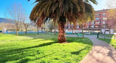 Apartment in Mimetiz photo 4