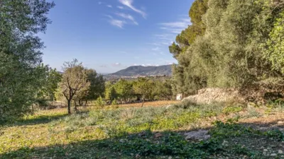 Rustic Finca in Alaró photo 13