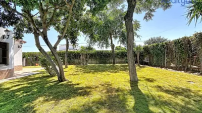 Chalet in El Capricho photo 45