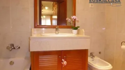 Apartment in Masustegui photo 8