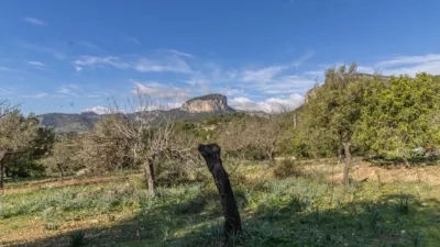 Rustic Finca in Alaró photo 25