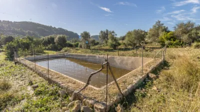 Rustic Finca in Alaró photo 22