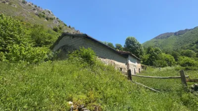 Finca rústica en venta en Calle Cuevas, El Pino (Moreda). Municipio de Aller de 19.500 €
