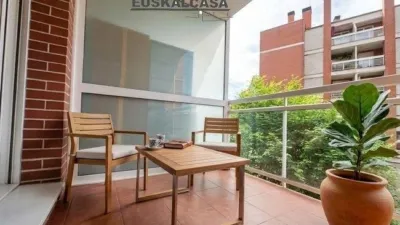 Apartment in Masustegui photo 12