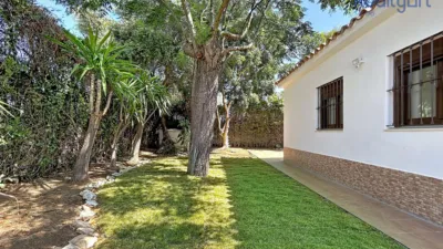 Chalet in El Capricho photo 8