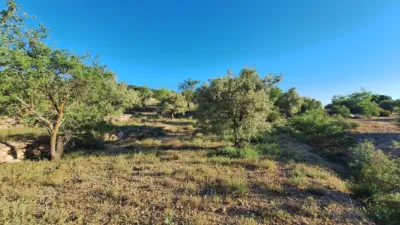 Terreno en venta en Partida El Aler - Vista 4