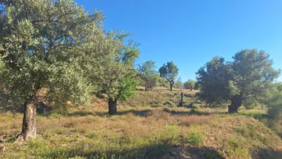 Terreno en venta en Partida El Aler - Vista 5