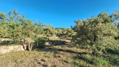 Terreno en venta en Partida El Aler - Vista 3