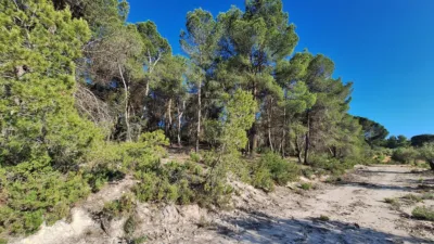 Terreno en venta en Partida El Aler - Més