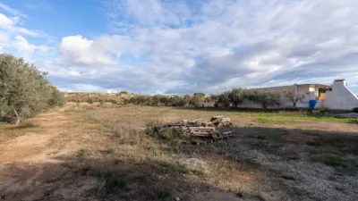 Rustic finca on Km road photo 37