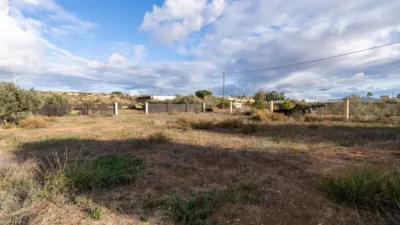 Rustic finca on Km road photo 46
